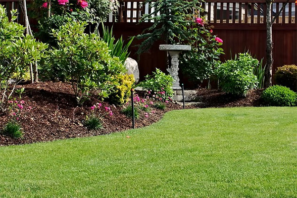 Hedge maintenance