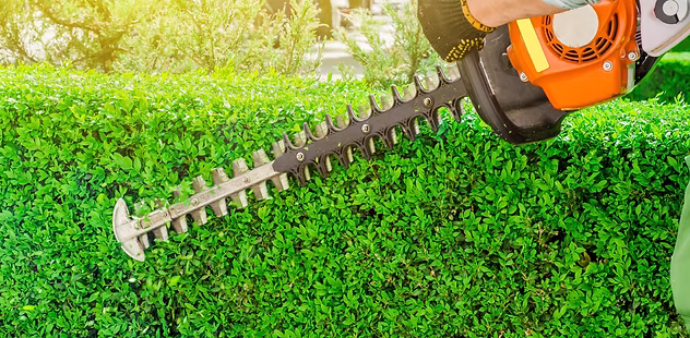 Hedge maintenance